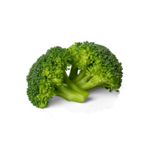 two broccoli stalks