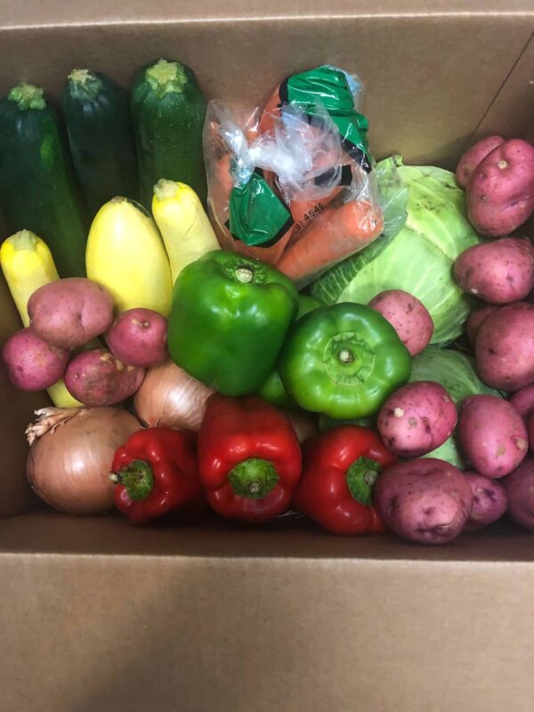 Mixed Vegetable Box Gulf Coast Produce Distributors Inc.