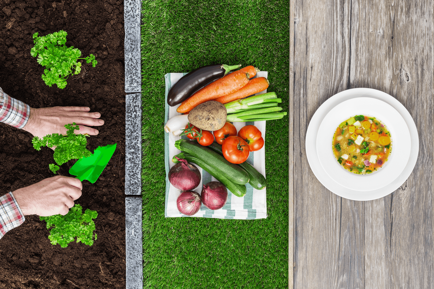 image of a person digging up a plant, next to a place of raw vegetables, next to table with a bowl of soup.